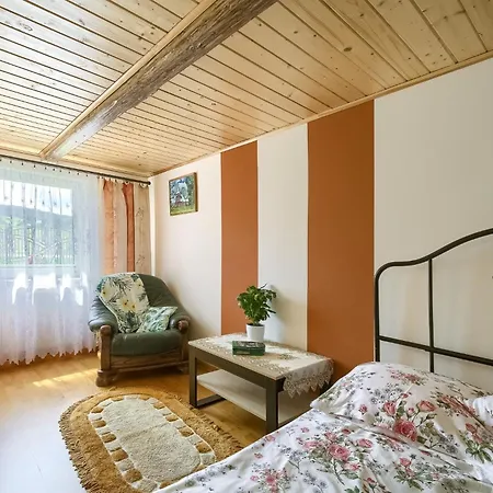 Chalet Przy Lemkowskiej Drodze Krynica-Zdrój